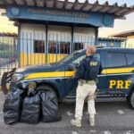 Governo libera crédito emergencial para atingidos pelas chuvas deste ano