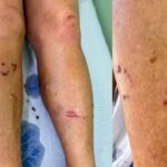 STF barra acesso a provas da CPMI do INSS envolvendo Daniel Vorcaro