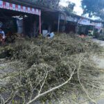 Ministério da Saúde lança em Feira de Santana, Serrinha e Ibotirama carretas de saúde da mulher e de exames de imagem