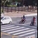 Deputado propõe lei para síndicos denunciarem maus-tratos a animais