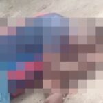 Três apostas da Bahia faturam R$ 193 mil na Mega-Sena