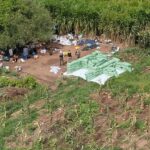 Duas apostas da Bahia acertam a quina da Mega-Sena e faturam R$ 64 mil cada