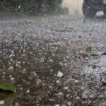 Projeto une escola e comunidade em dia de cuidado e transformação