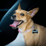 Curso do SENAR capacita empreendedores rurais e movimenta comunidade