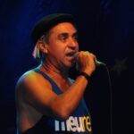 Projeto prevê multa de até R$ 100 mil por maus-tratos a animais