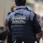 Justiça Federal proíbe abate de jumentos na Bahia