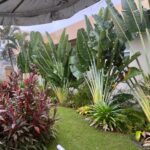 Vídeo: prefeito de Serrinha denuncia furto de merenda dentro de unidade escolar