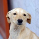 Feira de Santana recebe Giro do Sinpro Bahia em meio à campanha salarial e críticas à desvalorização de professores