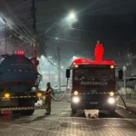 Mais de 10 mil animais são apreendidos em rodovias da Bahia