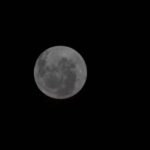 Confira quem são os pré-candidatos à presidência do Brasil até o momento