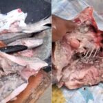 PF cumpre mandados em investigação contra fraude eleitoral em Juazeiro